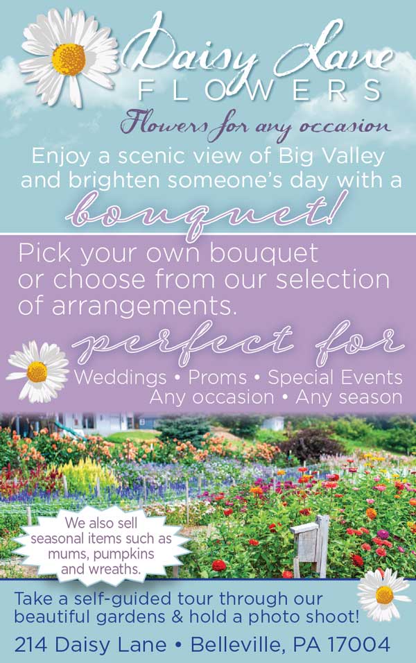 Daisy Lane Flowers <center>Daisy Lane Flowers | <b><a href="https://www.facebook.com/DaisyLaneFlowersBigValley" target="_blank" rel="noopener noreferrer">CLICK HERE to view the website</a></b></center>