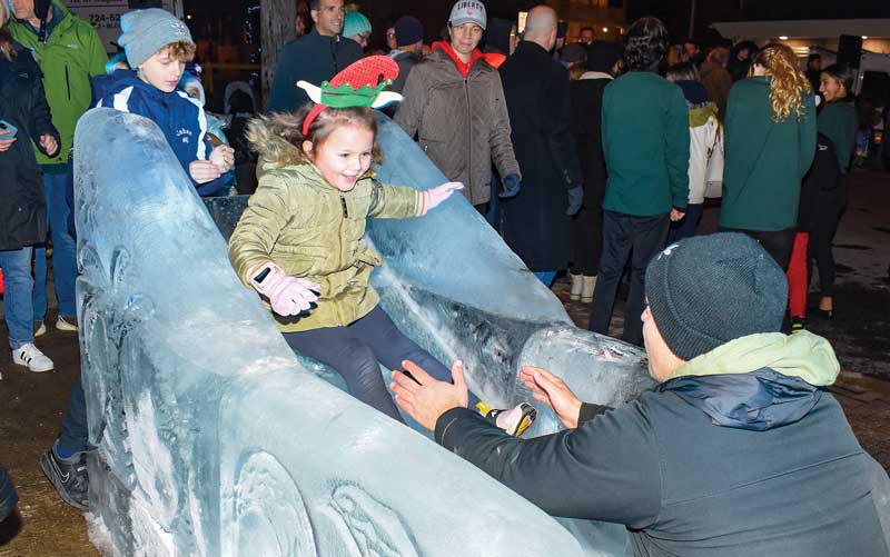 Ice Slide Ice Slide